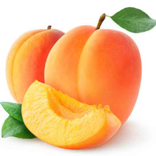 apricot definition
