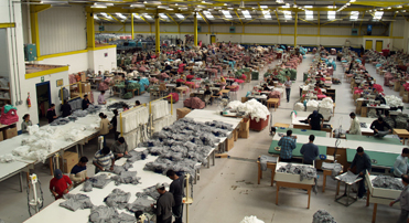 Garment Factory